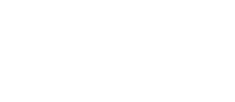 Logo INARI white